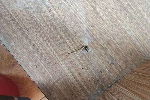 珠海中山滅白蟻多少錢一次-咨詢我們 珠海中山滅白蟻多少錢一次-咨詢我們