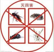 珠海中山附近殺蟲滅鼠公司報(bào)價(jià)