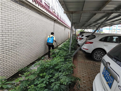 前山 金鼎 乾務(wù)白蟻消殺公司,白蟻防疫站白蟻消殺公司 前山 金鼎 乾務(wù)白蟻消殺公司,白蟻防疫站白蟻消殺公司