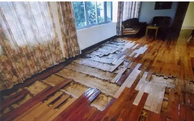 珠海市民眾白蟻防治有限公司,珠海殺蟲滅鼠公司,白蟻防治 珠海市民眾白蟻防治有限公司,珠海殺蟲滅鼠公司,白蟻防治