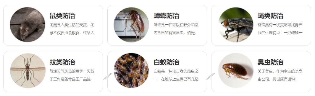 1581924250422959.jpg 12056511_子頁(yè)面banner.jpg