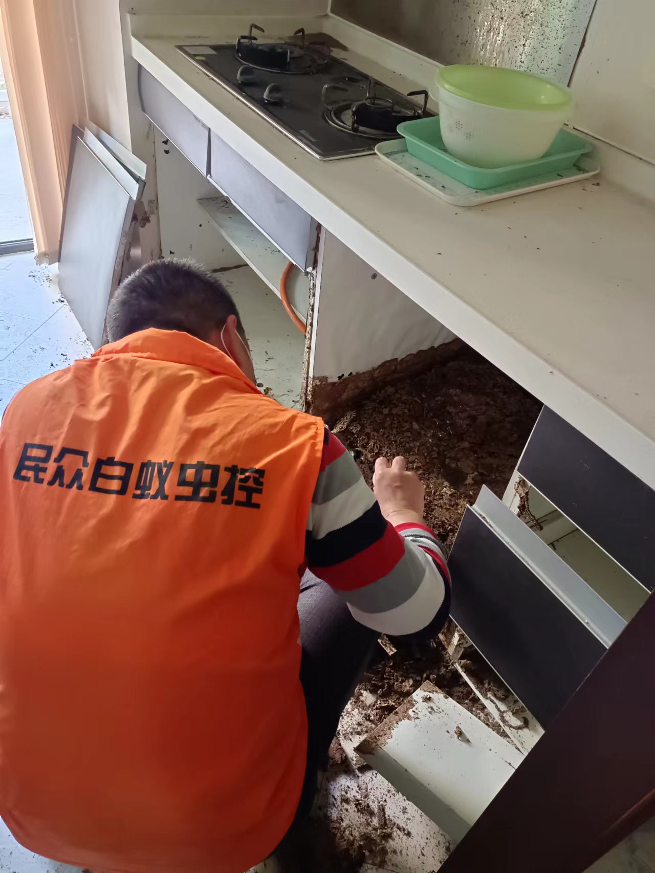 1684237932405918.jpg 1684237932405918.jpg